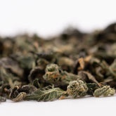 Dried cannabis flower buds and leaves from Sour Runtz Indoor Thca Trim with rich terpene profile